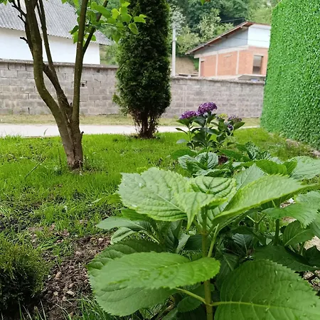 Kuca Za Odmor Majka Vila Fojnica