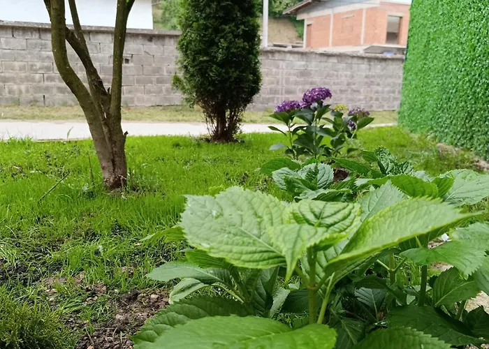 Kuca Za Odmor Majka Villa Fojnica